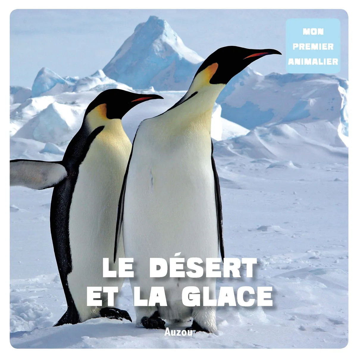 LE DESERT ET LA GLACE