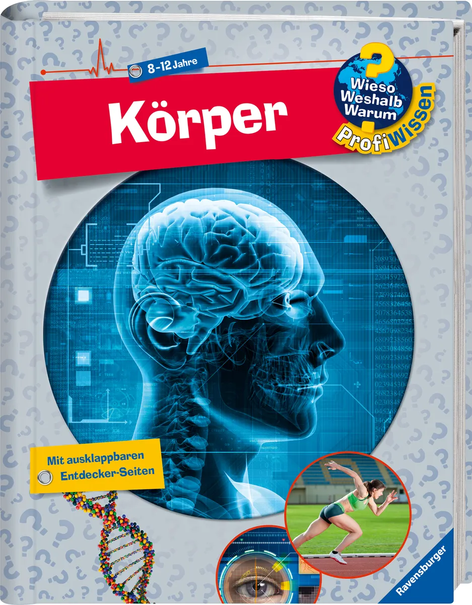 Körper