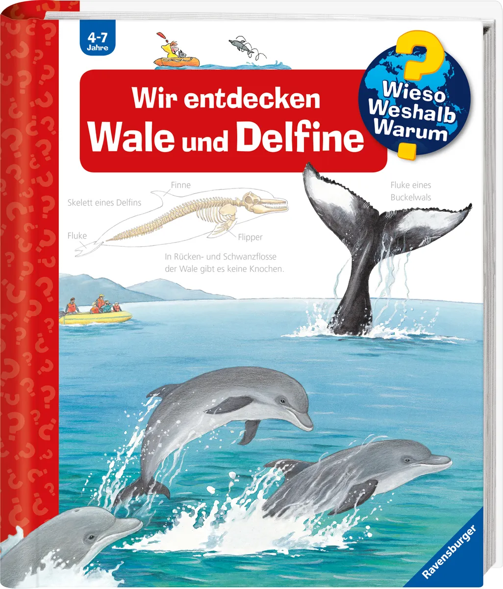 Wir entdecken Wale und Delfine